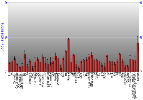Expression graph