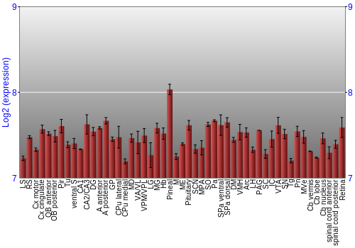 Expression graph