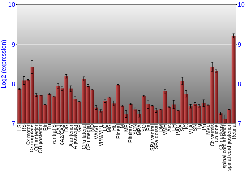 Expression graph