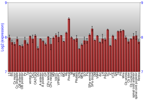 Expression graph