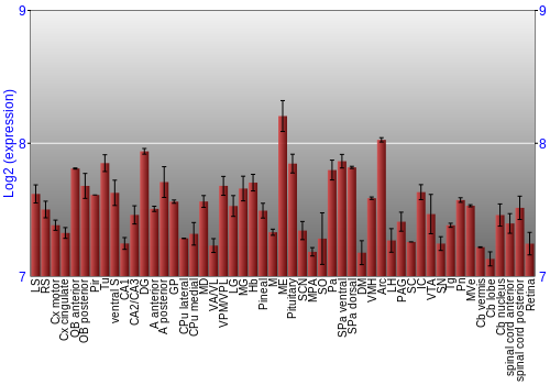 Expression graph