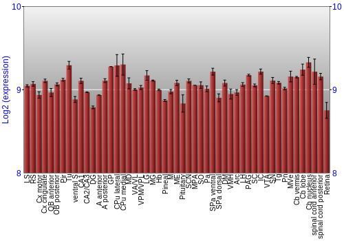 Expression graph