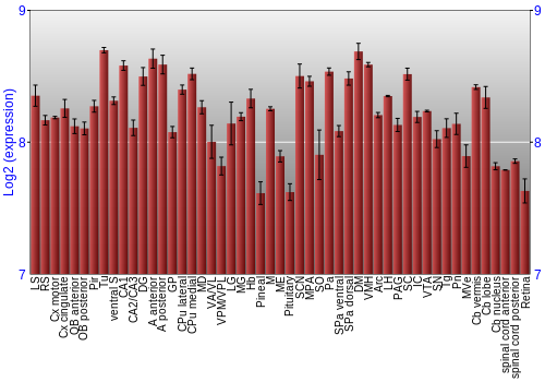 Expression graph