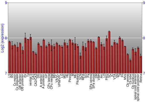 Expression graph