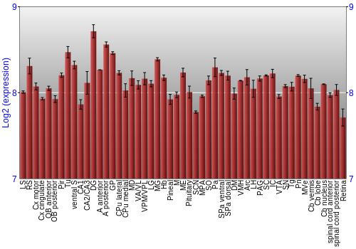 Expression graph