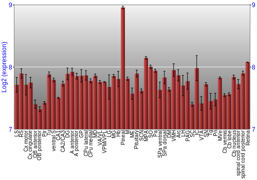Expression graph