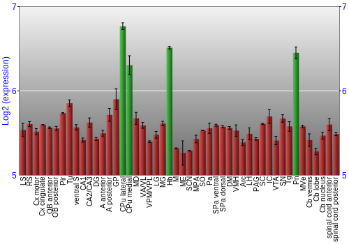 Multi-state expression graph