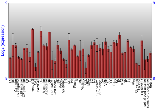 Expression graph