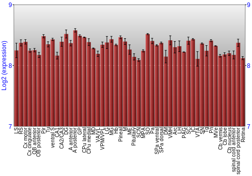 Expression graph