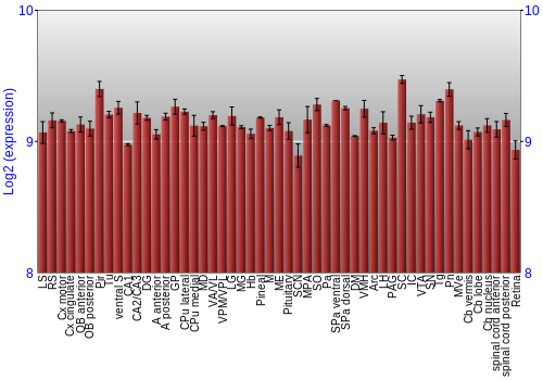 Expression graph