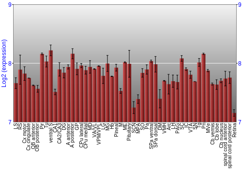 Expression graph