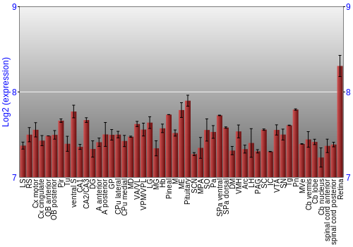 Expression graph