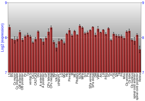 Expression graph