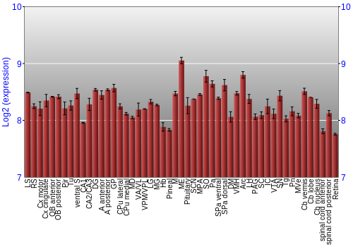Expression graph
