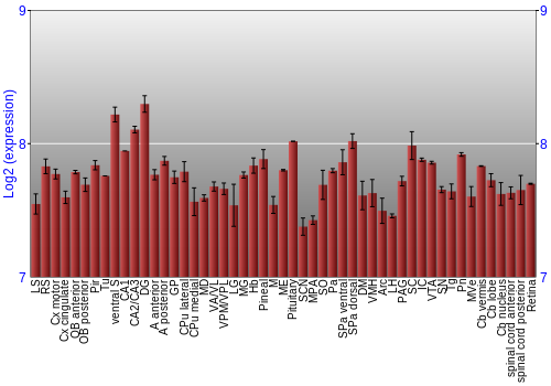 Expression graph