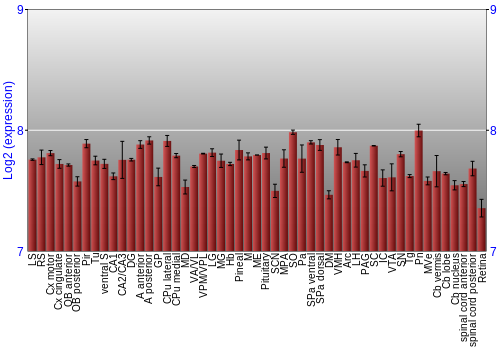 Expression graph