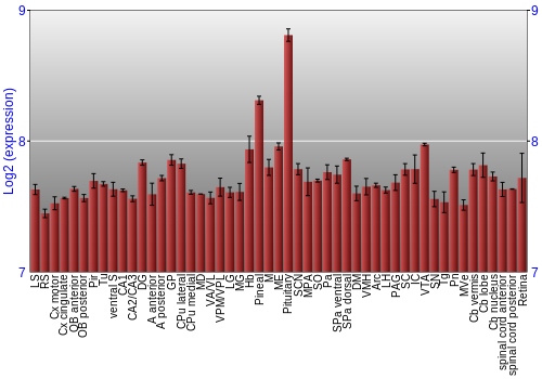 Expression graph