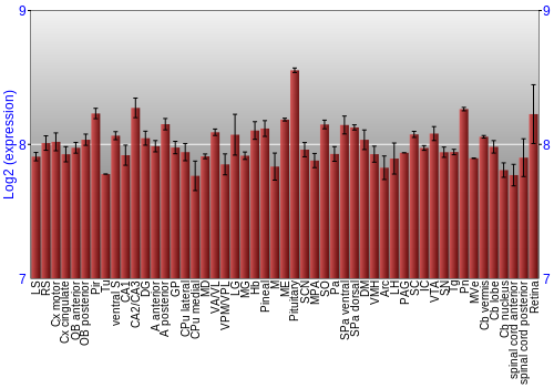 Expression graph