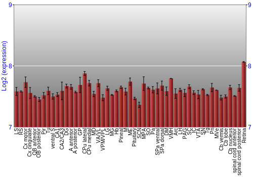 Expression graph