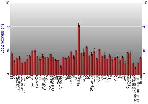 Expression graph