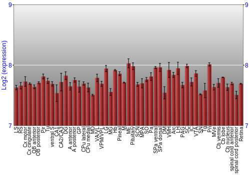Expression graph
