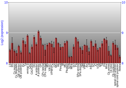 Expression graph