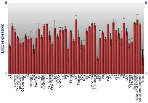 Expression graph