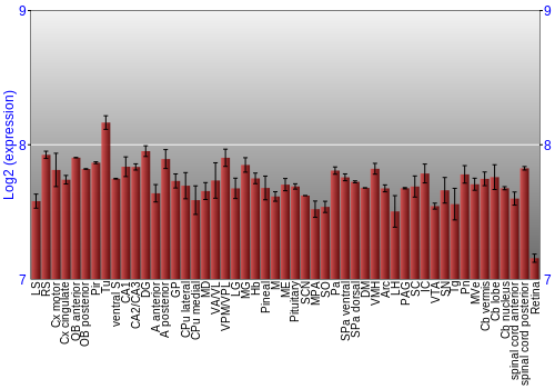 Expression graph