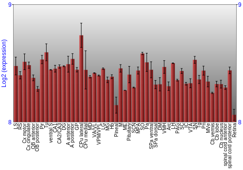 Expression graph