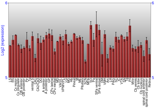 Expression graph