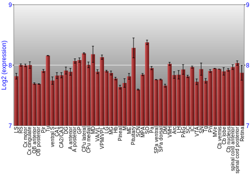 Expression graph
