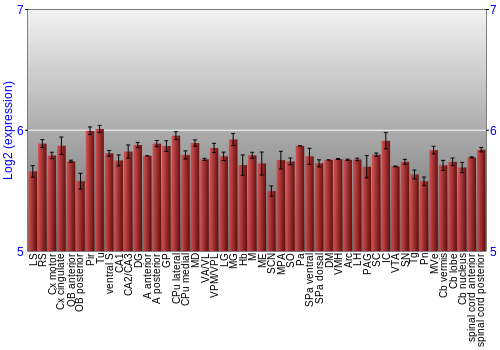 Multi-state expression graph