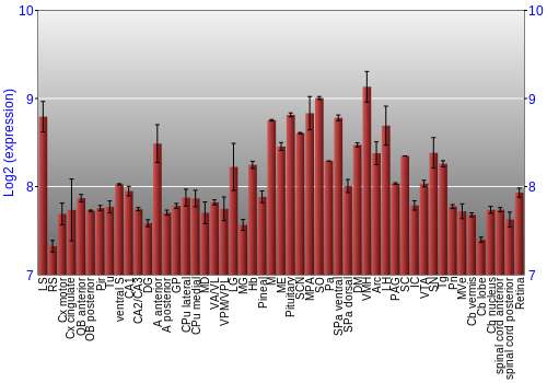 Expression graph