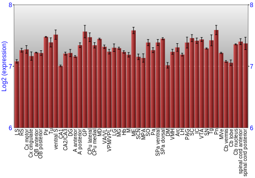 Multi-state expression graph