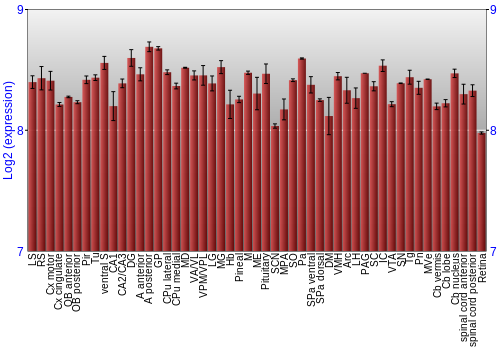 Expression graph