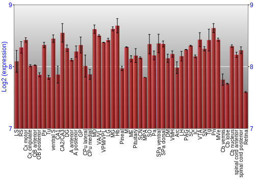 Expression graph