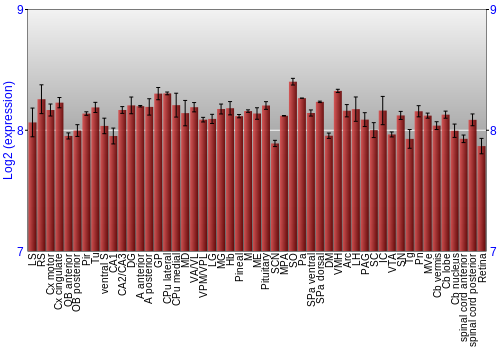 Expression graph