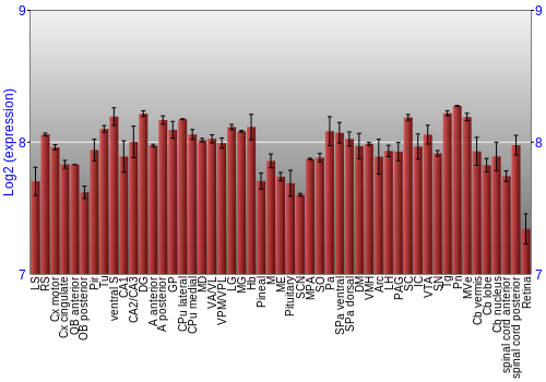 Expression graph