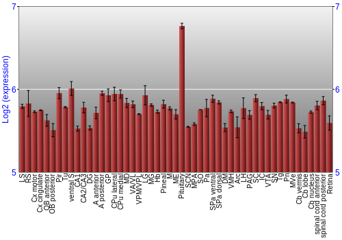 Expression graph