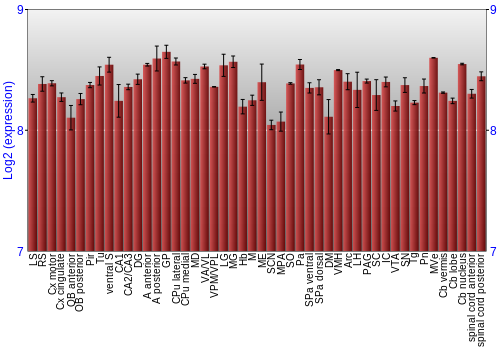 Multi-state expression graph
