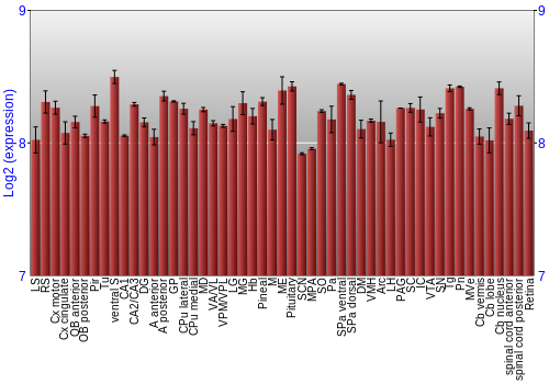 Expression graph