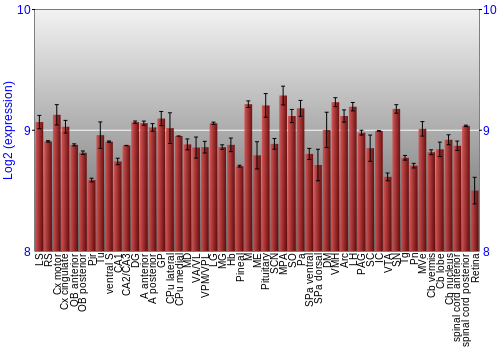 Expression graph