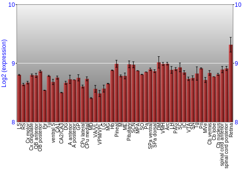 Expression graph