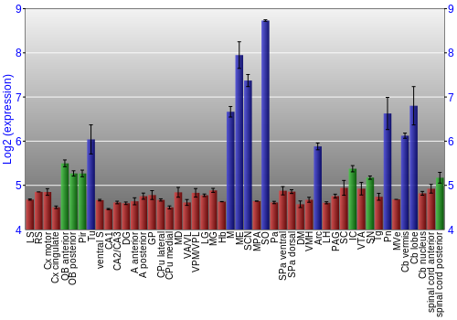 Multi-state expression graph