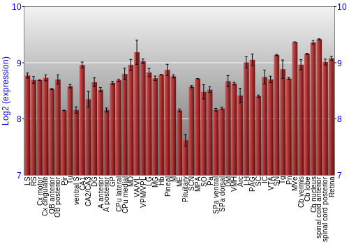 Expression graph