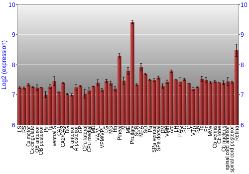Expression graph
