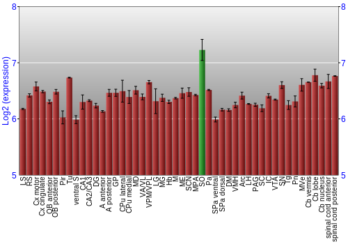 Multi-state expression graph