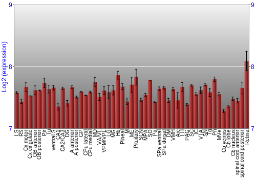 Expression graph