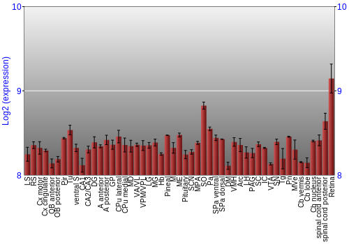 Expression graph