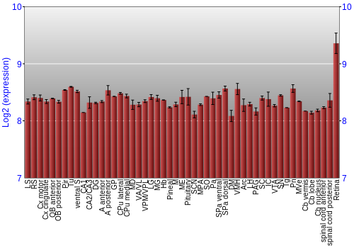 Expression graph